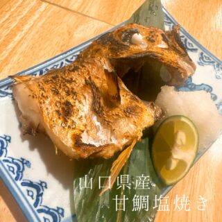 本日のおすすめ ︎熊本　黄金ハモ焼き霜or落とし ︎大分　カマス…