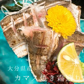 本日のおすすめ ︎大分　カマス焼き霜造り ︎和歌山　天然活サバ…