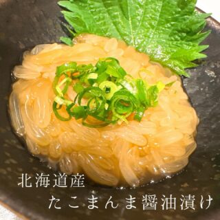 本日のおすすめ ︎新潟　サワラ焼き霜造り ︎鳥取　本マグロ造り …