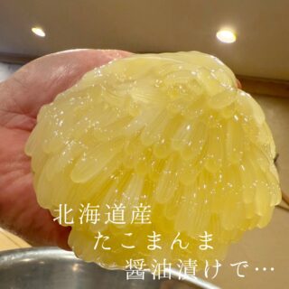 本日のおすすめ ︎北海道　たこまんま醤油漬け ︎新潟　サワラ焼…