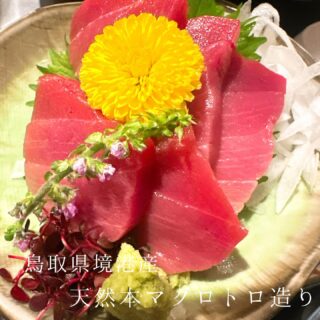 本日のおすすめ ︎鳥取境港　天然本マグロトロ造り ︎千葉　もち…