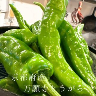 本日のおすすめ ︎鳥取境港　天然本マグロトロ造り ︎北海道　ニ…