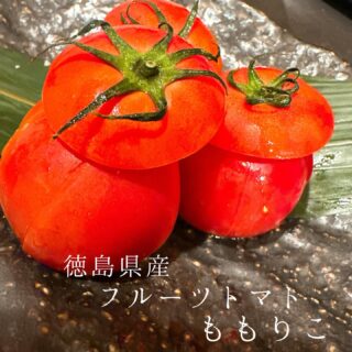 本日のおすすめ ︎高知　ソウダガツオ造り ︎宮城　伝助アナゴ焼…