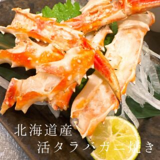 本日のおすすめ ︎千葉　もちカツオ造り ︎熊本天草　カマス焼き…