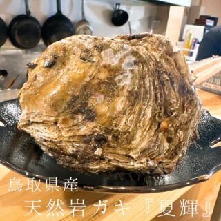 本日のおすすめ ︎鳥取　天然岩ガキ『夏輝』 ︎宮城　ドラゴン太…