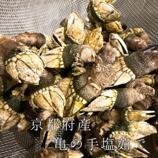 本日のおすすめ ︎鹿児島　ヤイトガツオ造り ︎神奈川　ドラゴン…