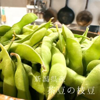 めもあ 本日のおすすめ ︎大分豊後　活アジ造り ︎長崎　天然本マ…