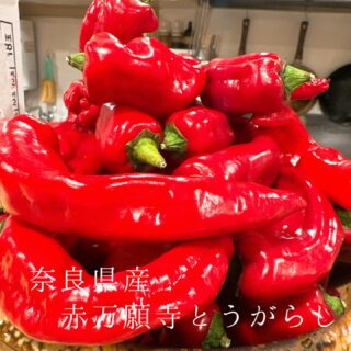 本日のおすすめ ︎太平洋　イワシクジラ造り ︎岩手　カツオたた…