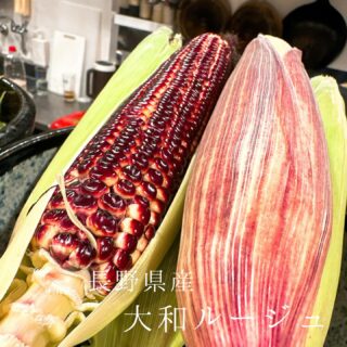 本日のおすすめ ︎熊本　黄金ハモ落とし ︎愛媛　白寿真鯛造り ︎…