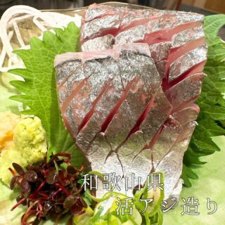 本日のおすすめ ︎三重　天然岩ガキ ︎長崎　イサキ焼き霜造り ︎…