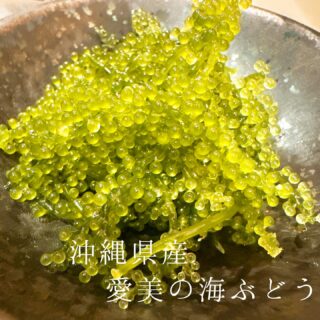 本日のおすすめ ︎和歌山　天然特大岩ガキ ︎和歌山　活アジ造り …