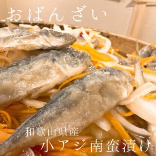 本日のおすすめ ︎新潟　天然本マグロ造り ︎熊本　黄金ハモ落と…