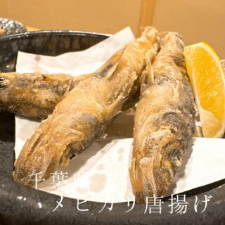 本日のおすすめ ︎和歌山　活モンゴウイカ造り ︎長崎　本マグロ…