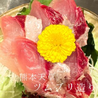 本日のおすすめ ︎熊本天草　ツムブリ造り ︎長崎　本マグロホホ…