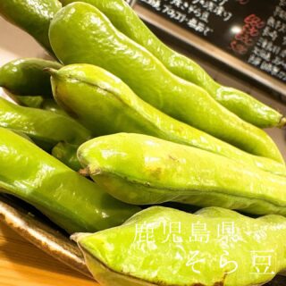 本日のおすすめ ︎京都　サワラ焼き霜造り ︎熊本天草　ツムブリ…