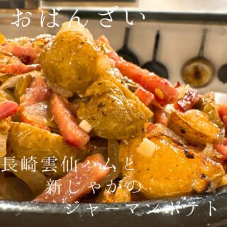 本日のおすすめ ︎熊本天草　天然クエ造り ︎和歌山　アオリイカ…