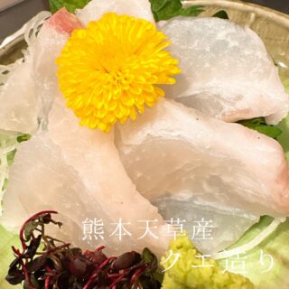 本日のおすすめ ︎熊本天草　クエ造り ︎長崎　本マグロホホに肉…