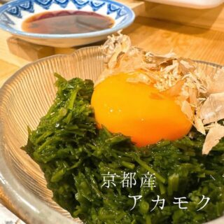 本日のおすすめ ︎熊本天草　天然ブリ造り ︎千葉　サワラ焼き霜…