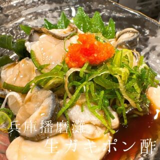 本日のおすすめ ︎兵庫　本マグロ造り ︎愛媛　シマア…