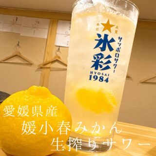 本日のおすすめ ︎愛媛　シマアジ造り ︎島根　コハダ刺身orなめ…