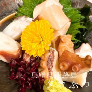 本日のおすすめ ︎熊本天草　天然サクラダイ造り ︎富…