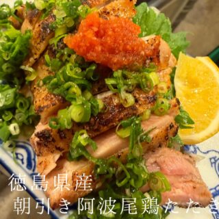 本日のおすすめ ︎熊本天草　天然ブリ造り ︎北海道　ハッカク造…