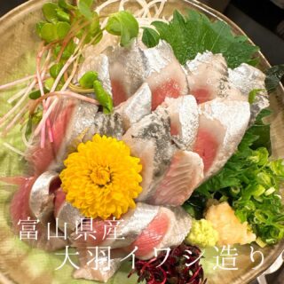 本日のおすすめ ︎長崎　本マグロカマ先炙り造り ︎静岡　天竜金…