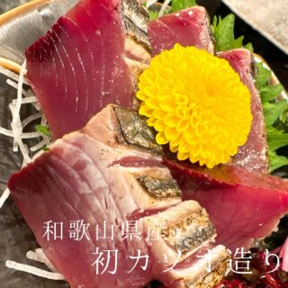 本日のおすすめ ︎和歌山　天然本マグロ造り ︎和歌山　活サバ造…