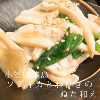 本日のおすすめ ︎和歌山　店天然活サバ造り ︎和歌山　初カツオ…