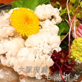 本日のおすすめ ︎和歌山　天然本マグロ造り ︎和歌山　初カツオ…