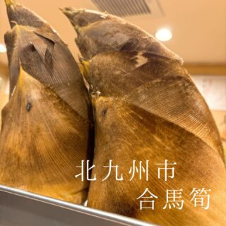 本日のおすすめ ︎淡路島　活〆サクラダイ造り ︎和歌山　天然本…