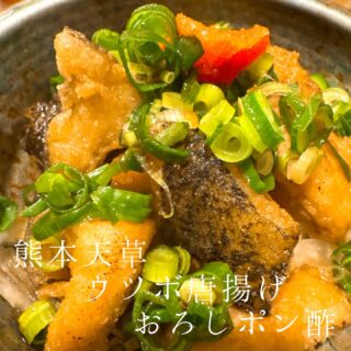 本日のおすすめ ︎熊本天草　ウツボたたき ︎和歌山　ハモ落とし …