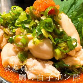 本日のおすすめ ︎和歌山　初カツオ造り ︎福井　アジ造り ︎福井…