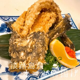 本日のおすすめ ︎和歌山　初カツオ造り ︎静岡　生桜エビユッケ …