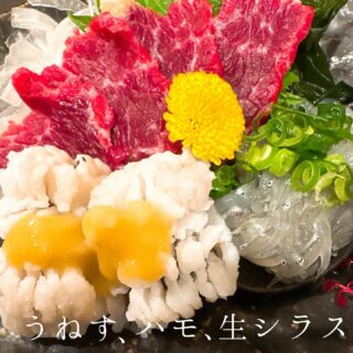 本日のおすすめ ︎熊本天草　カンパチ造り ︎大阪　コチ造り ︎熊…