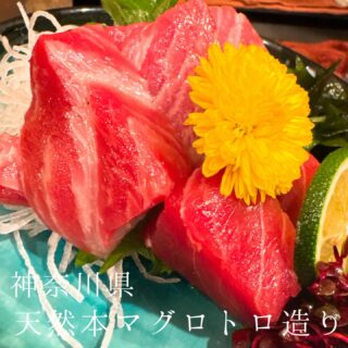 本日のおすすめ ︎神奈川　天然本マグロトロ造り ︎高知　天然ブ…