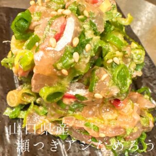 本日のおすすめ ︎山口　瀬つきアジ造り ︎宮城　カマ…