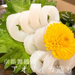本日のおすすめ ︎京都舞鶴　アオリイカ造り ︎高知　…
