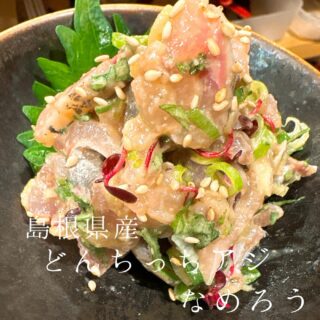 本日のおすすめ ︎京都舞鶴　アオリイカ造り ︎香川　オリーブサ…