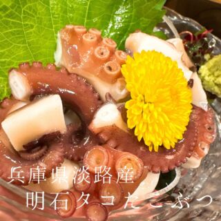 本日のおすすめ ︎兵庫淡路島　ハリイカ造り ︎高知　…