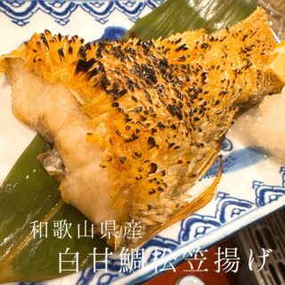 本日のおすすめ ︎和歌山　特大天然岩ガキ ︎京都舞鶴…
