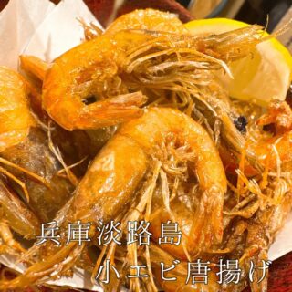 本日のおすすめ ︎青森　ヨコワマグロ造り ︎兵庫　ハ…