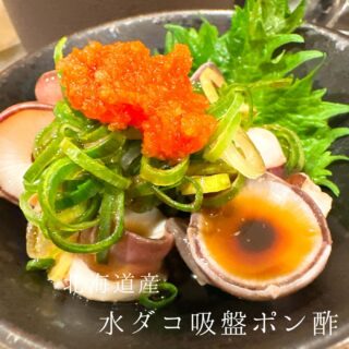 本日のおすすめ ︎北海道　水ダコ造り ︎北海道　水ダ…