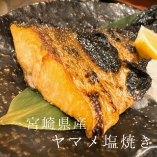本日のおすすめ ︎鹿児島　大羽イワシ造り ︎明石　サ…