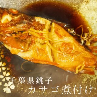 本日のおすすめ ︎和歌山　カマスサワラ焼き霜造り ︎山口　瀬つ…