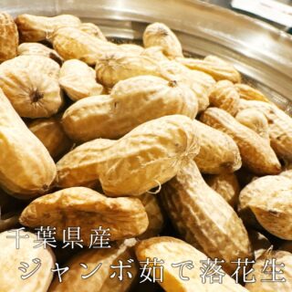 本日のおすすめ ︎千葉房州　大羽イワシ造り ︎淡路島…
