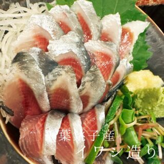 本日のおすすめ ︎千葉銚子　イワシ造り ︎熊本天草　…