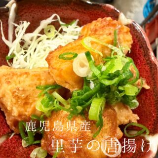 本日のおすすめ ︎気仙沼　戻りカツオ造り ︎熊本天草　天然ブリ…