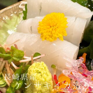 本日のおすすめ ︎長崎　ケンサキイカ造り ︎千葉銚子　イワシ造…